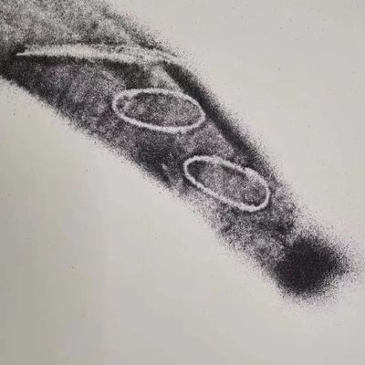 98% Sic Black Carborundum Abrasion Proof Heat Conductivity